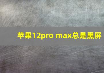 苹果12pro max总是黑屏